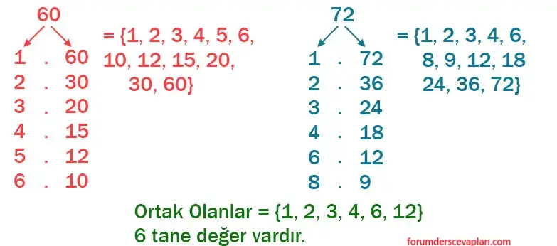 6. Sınıf Matematik Ders Kitabı Sayfa 56 Cevapları Birinci Kitap