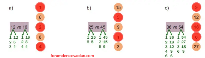 6. Sınıf Matematik Ders Kitabı Sayfa 56. Cevapları 1. Kitap