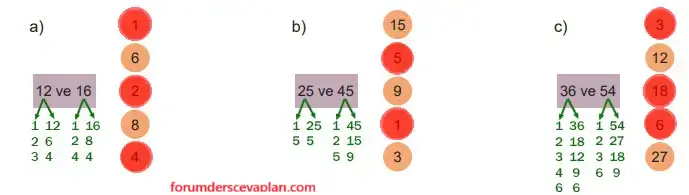 6. Sınıf Matematik Ders Kitabı Sayfa 56. Cevapları 1. Kitap