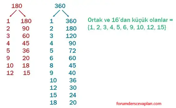 6. Sınıf Matematik Ders Kitabı Sayfa 59 Cevapları Birinci Kitap