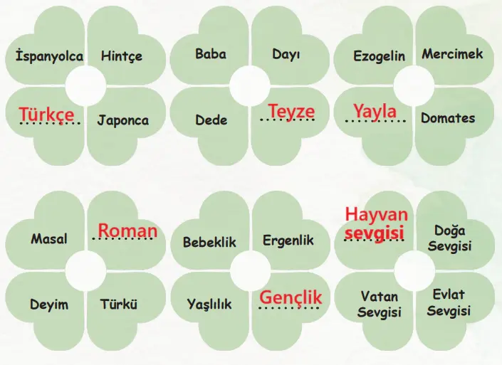 6. Sınıf Türkçe Ders Kitabı Sayfa 27 Cevapları Birinci Kitap