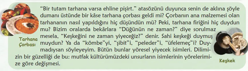 6. Sınıf Türkçe Ders Kitabı Sayfa 30-31-32-33. Cevapları 1. Kitap