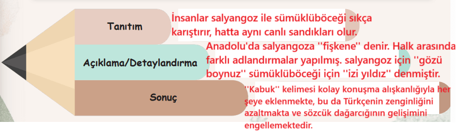 6. Sınıf Türkçe Ders Kitabı Sayfa 35-37-38-39. Cevapları 1. Kitap