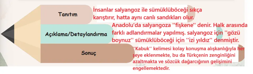 6. Sınıf Türkçe Ders Kitabı Sayfa 35-37-38-39. Cevapları 1. Kitap 3 6. Sınıf Türkçe Ders Kitabı Sayfa 37-38 Cevapları Birinci Kitap
