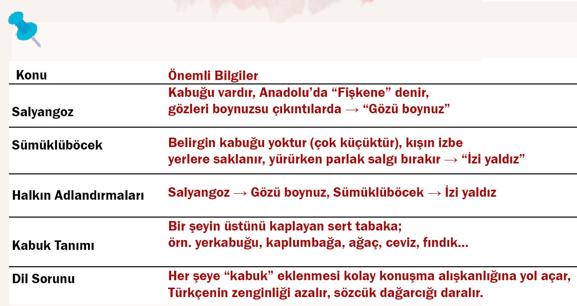 6. Sınıf Türkçe Ders Kitabı Sayfa 39 Cevapları Birinci Kitap