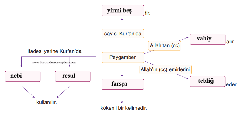 6.Sınıf Din Kültürü Ders Kitabı Sayfa 18 Cevapları