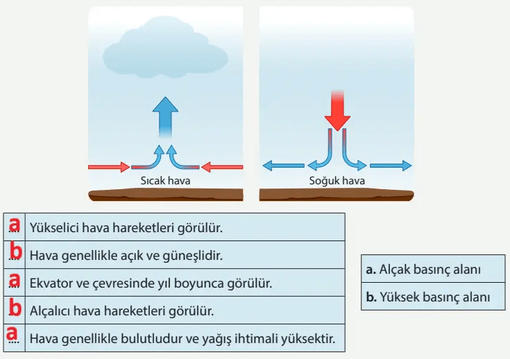 8. Sınıf Fen Bilimleri Ders Kitabı Sayfa 37 Cevapları MEB Yayınları