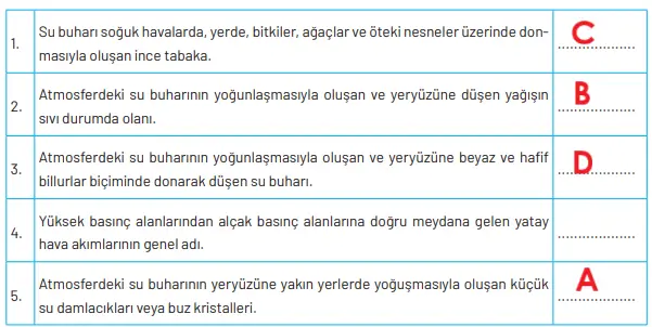 8. Sınıf Fen Bilimleri Ders Kitabı Sayfa 46 Cevapları