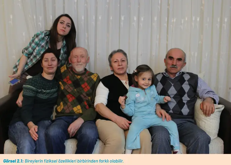 8. Sınıf Fen Bilimleri Ders Kitabı Sayfa 50-56-58-60. Cevapları Hecce Yayıncılık