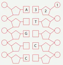 8. Sınıf Fen Bilimleri Ders Kitabı Sayfa 51 Cevapları MEB Yayınları1