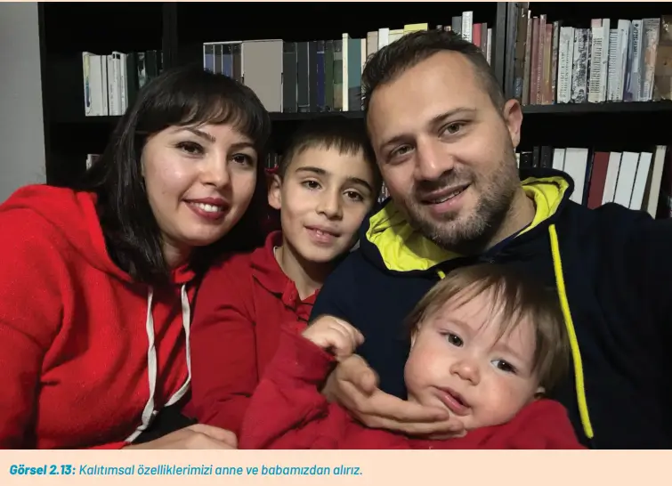 8. Sınıf Fen Bilimleri Ders Kitabı Sayfa 61-69-72. Cevapları Hecce Yayıncılık