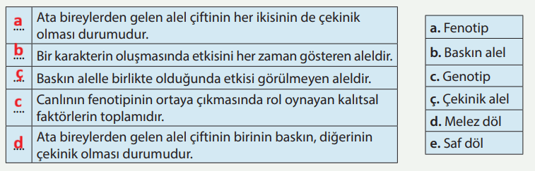 8. Sınıf Fen Bilimleri Ders Kitabı Sayfa 60-61. Cevapları MEB Yayınları