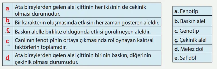 8. Sınıf Fen Bilimleri Ders Kitabı Sayfa 61 Cevapları MEB Yayınları