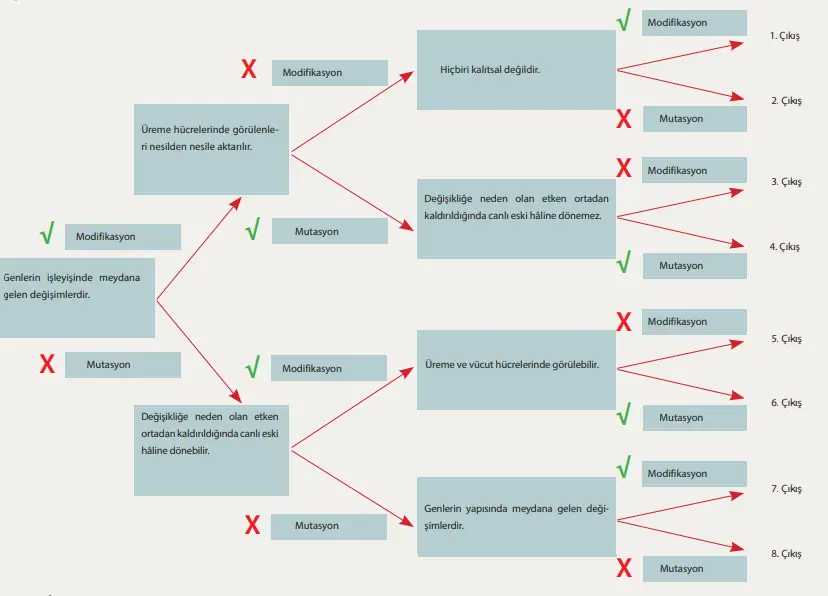 8. Sınıf Fen Bilimleri Ders Kitabı Sayfa 67 Cevapları MEB Yayınları