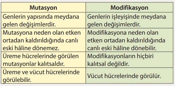 8. Sınıf Fen Bilimleri Ders Kitabı Sayfa 67 Cevapları MEB Yayınları1