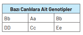 8. Sınıf Fen Bilimleri Ders Kitabı Sayfa 72 Cevapları Hecce Yayıncılık