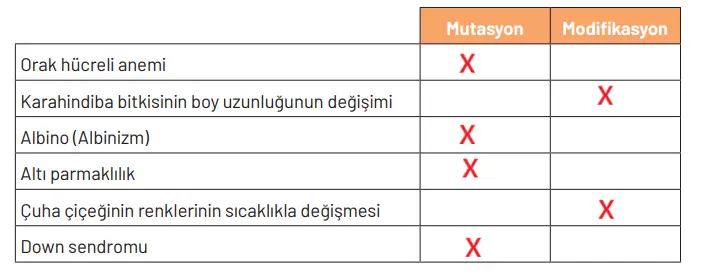 8. Sınıf Fen Bilimleri Ders Kitabı Sayfa 76 Cevapları Hecce Yayıncılık