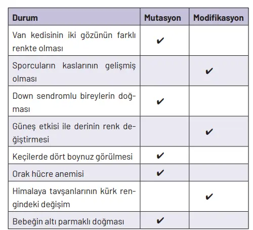8. Sınıf Fen Bilimleri Ders Kitabı Sayfa 77 Cevapları Hecce Yayıncılık