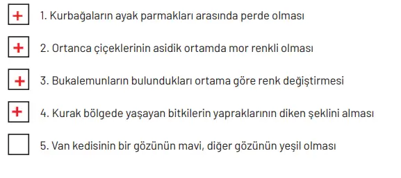 8. Sınıf Fen Bilimleri Ders Kitabı Sayfa 81 Cevapları Hecce Yayıncılık