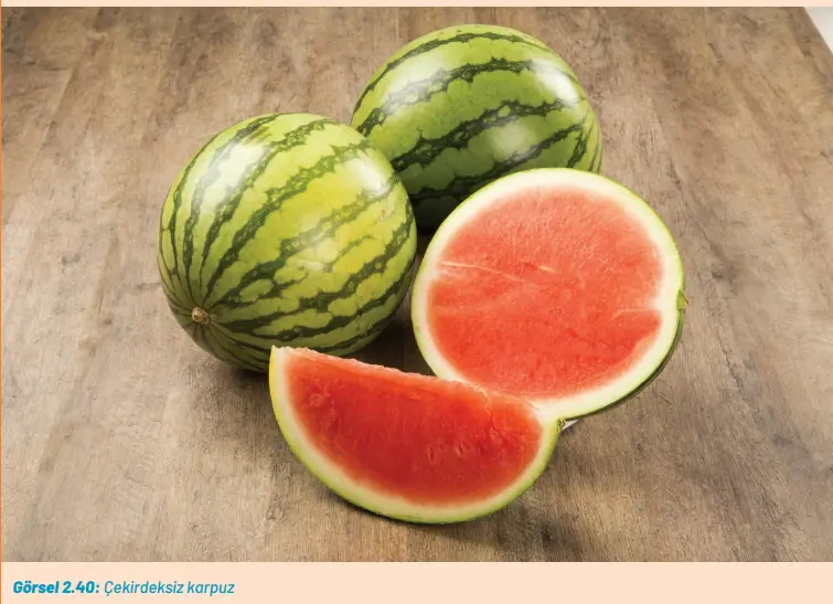 8. Sınıf Fen Bilimleri Ders Kitabı Sayfa 82-89-90. Cevapları Hecce Yayıncılık