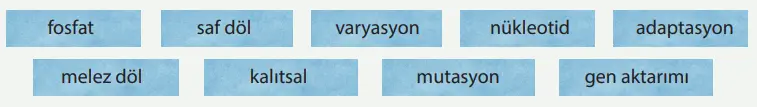 8. Sınıf Fen Bilimleri Ders Kitabı Sayfa 82-83-84-85-86-87. Cevapları MEB Yayınları 2 8. Sınıf Fen Bilimleri Ders Kitabı Sayfa 82 Cevapları MEB Yayınları1