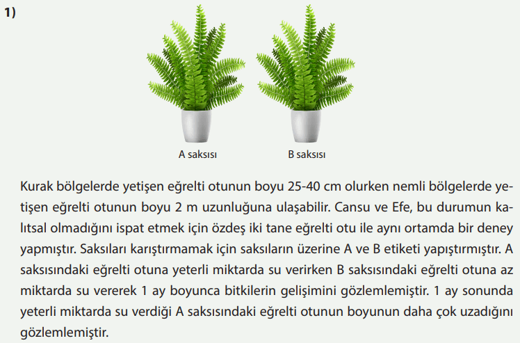 8. Sınıf Fen Bilimleri Ders Kitabı Sayfa 83 Cevapları MEB Yayınları