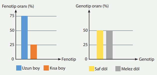 8. Sınıf Fen Bilimleri Ders Kitabı Sayfa 84 Cevapları MEB Yayınları