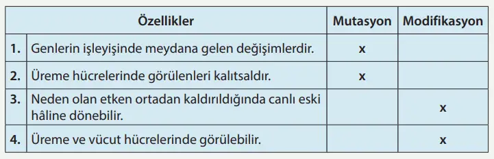 8. Sınıf Fen Bilimleri Ders Kitabı Sayfa 82-83-84-85-86-87. Cevapları MEB Yayınları 5 8. Sınıf Fen Bilimleri Ders Kitabı Sayfa 84 Cevapları MEB Yayınları2