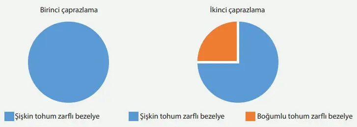 8. Sınıf Fen Bilimleri Ders Kitabı Sayfa 82-83-84-85-86-87. Cevapları MEB Yayınları 6 8. Sınıf Fen Bilimleri Ders Kitabı Sayfa 85 Cevapları MEB Yayınları