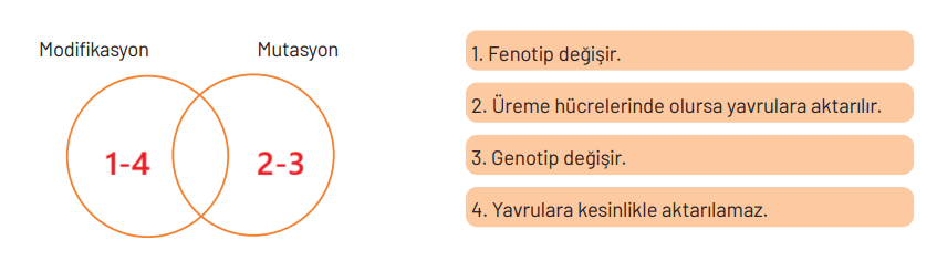 8. Sınıf Fen Bilimleri Ders Kitabı Sayfa 94 Cevapları Hecce Yayıncılık