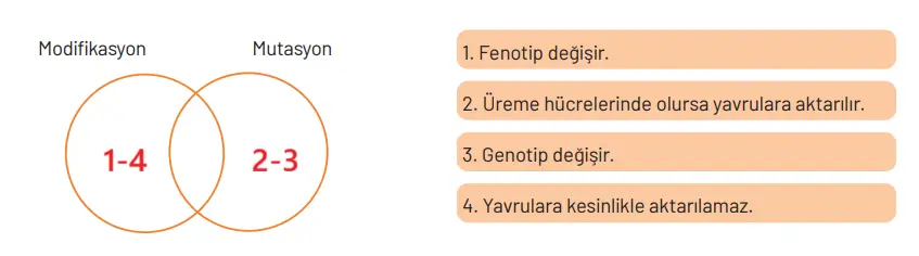 8. Sınıf Fen Bilimleri Ders Kitabı Sayfa 94 Cevapları Hecce Yayıncılık