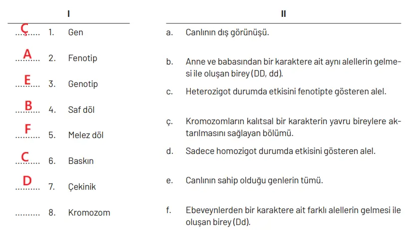 8. Sınıf Fen Bilimleri Ders Kitabı Sayfa 95 Cevapları Hecce Yayıncılık