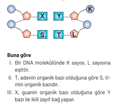 8. Sınıf Fen Bilimleri Ders Kitabı Sayfa 98 Cevapları Hecce Yayıncılık