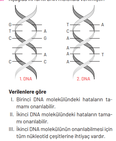 8. Sınıf Fen Bilimleri Ders Kitabı Sayfa 98 Cevapları Hecce Yayıncılık