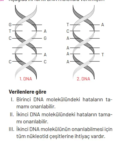8. Sınıf Fen Bilimleri Ders Kitabı Sayfa 98 Cevapları Hecce Yayıncılık