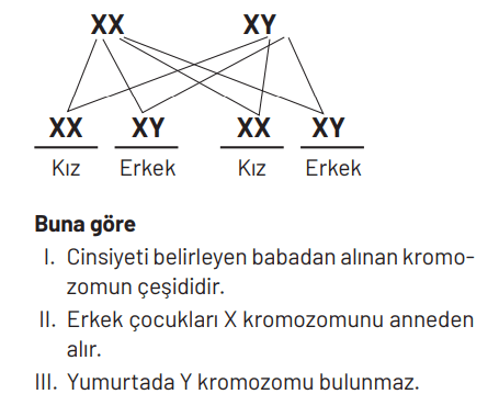 8. Sınıf Fen Bilimleri Ders Kitabı Sayfa 99 Cevapları Hecce Yayıncılık