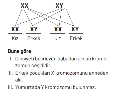 8. Sınıf Fen Bilimleri Ders Kitabı Sayfa 99 Cevapları Hecce Yayıncılık