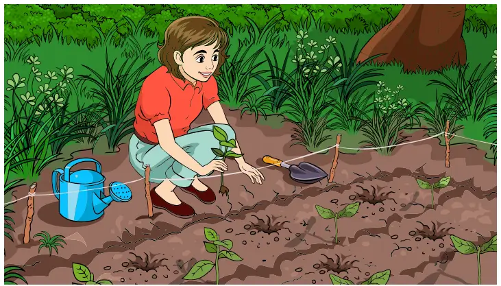 8. Sınıf Matematik Ders Kitabı Sayfa 30-35. Cevapları Sonuç Yayınları