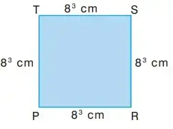 8. Sınıf Matematik Ders Kitabı Sayfa 43 Cevapları Sonuç Yayınları2