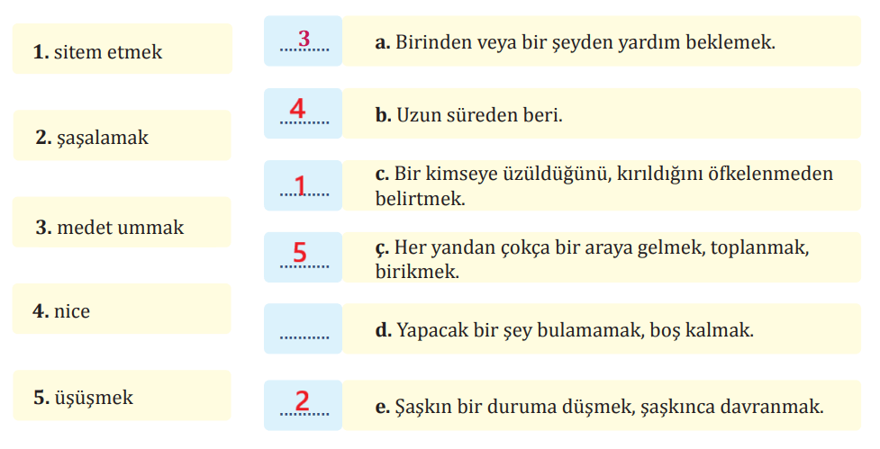 8. Sınıf Türkçe Ders Kitabı Sayfa 22-24-25-26-27 Cevapları MEB Yayınları