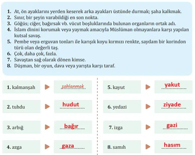 8. Sınıf Türkçe Ders Kitabı Sayfa 38 Cevapları MEB Yayınları