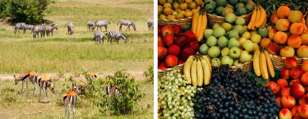 8. Sınıf Din Kültürü Ders Kitabı Sayfa 22-23-24-25. Cevapları SDR İpekyolu Yayıncılık