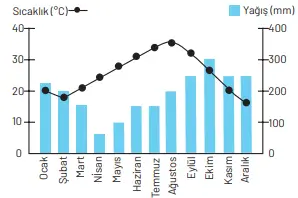 8. Sınıf Fen Bilimleri Ders Kitabı Sayfa 42-43-44-45-46-47 Cevapları Hecce Yayıncılık