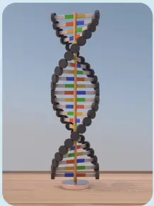 8. Sınıf Fen Bilimleri Ders Kitabı Sayfa 48-49. Cevapları MEB Yayınları