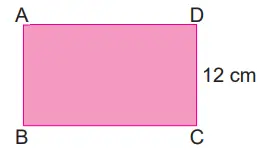 8. Sınıf Matematik Ders Kitabı Sayfa 52-53-54-55. Cevapları MEB Yayınları