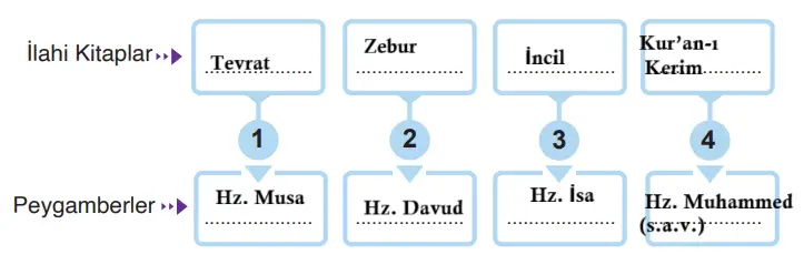 6. Sınıf Din Kültürü Ders Kitabı Sayfa 27-30. Cevapları MEB Yayınları