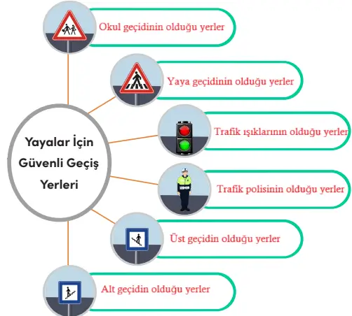 4. Sınıf Trafik Güvenliği Ders Kitabı Sayfa 21-22-23-24. Cevapları MEB Yayınları