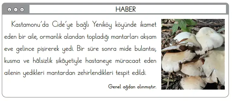3. Sınıf Fen Bilimleri Ders Kitabı Sayfa 111-114-116-117. Cevapları CEM Yayınları 2 3. Sınıf Fen Bilimleri Ders Kitabı Sayfa 111 Cevapları