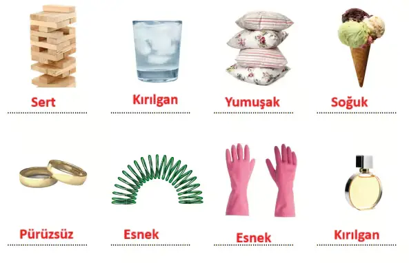 3. Sınıf Fen Bilimleri Ders Kitabı Sayfa 111-114-116-117. Cevapları CEM Yayınları 3 3. Sınıf Fen Bilimleri Ders Kitabı Sayfa 116 Cevapları CEM Yayınları