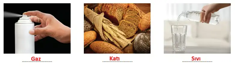 3. Sınıf Fen Bilimleri Ders Kitabı Sayfa 120-122-123-124. Cevapları CEM Yayınları 2 3. Sınıf Fen Bilimleri Ders Kitabı Sayfa 124 Cevapları CEM Yayınları